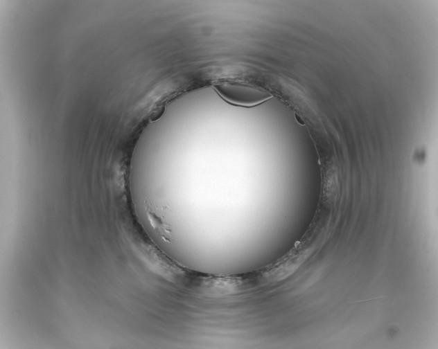 X0000094070282200711021517