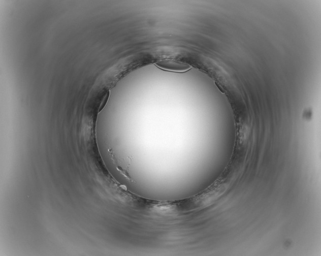X0000094070283200711021517