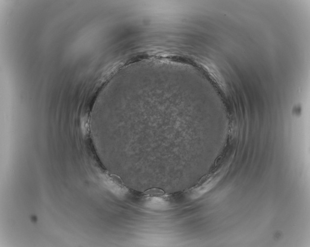 X0000094070285200711021517