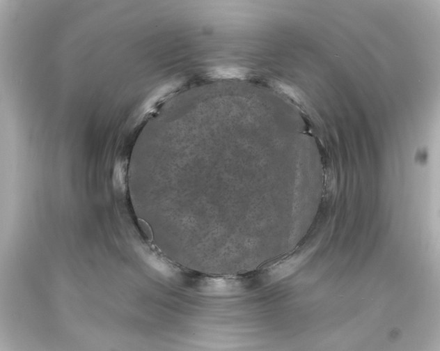 X0000094070286200711021517