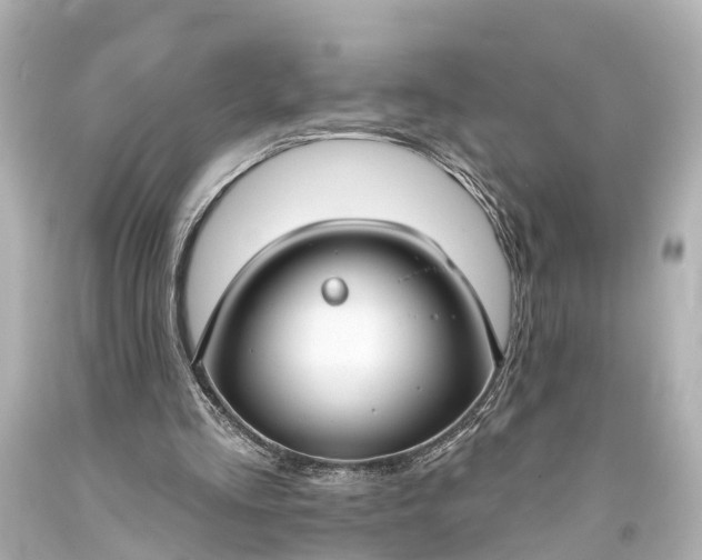 X0000094070293200711021516