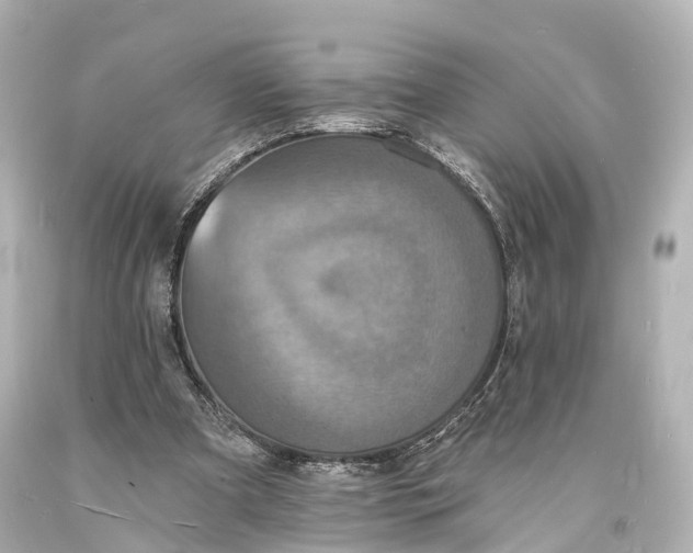 X0000094070297200711021516