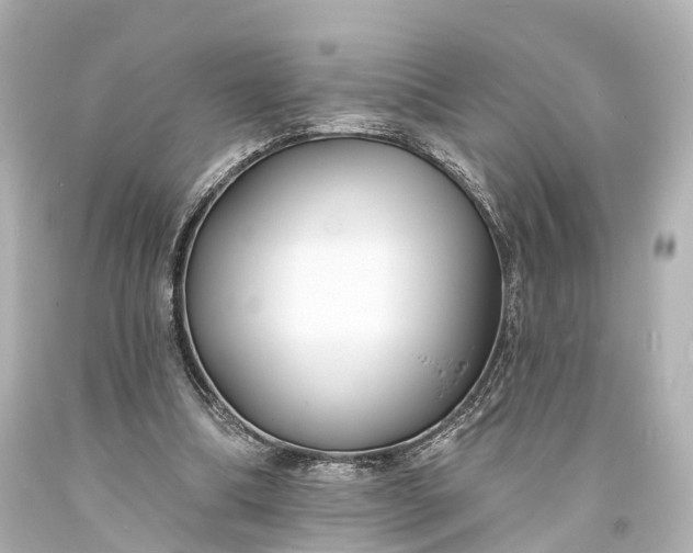 X0000094070298200711021516