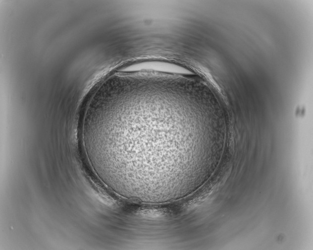 X0000094070299200711021516