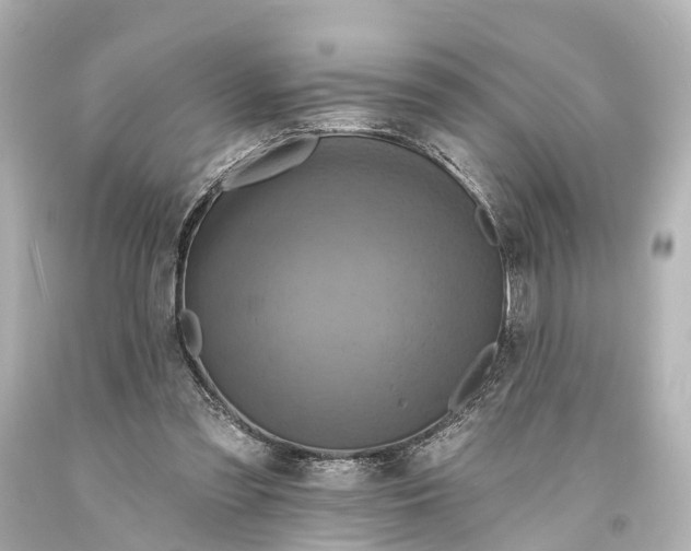 X0000094070301200711021516
