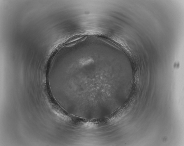 X0000094070303200711021516