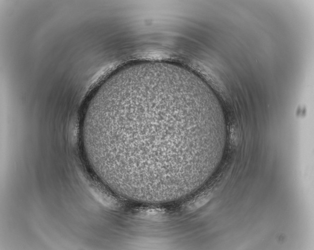 X0000094070304200711021516