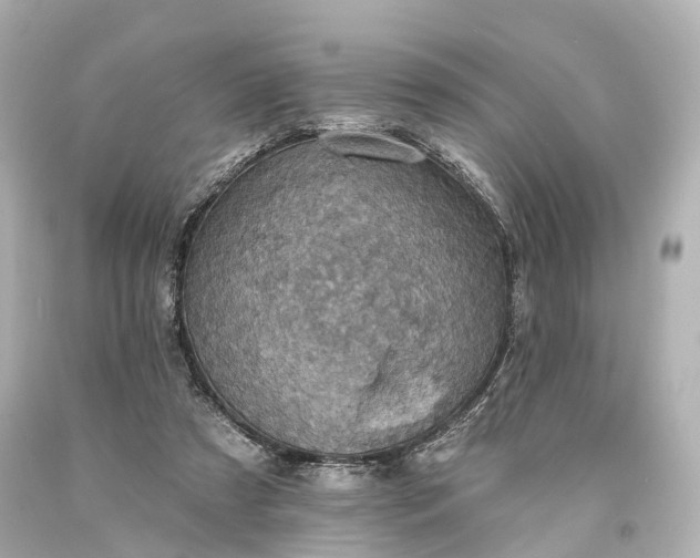 X0000094070305200711021516