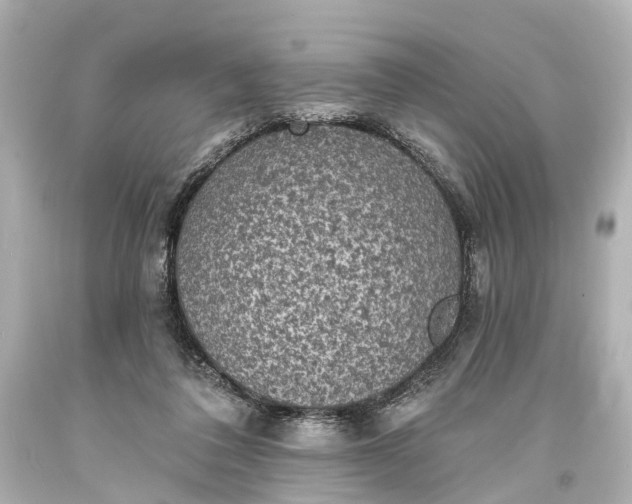 X0000094070308200711021516