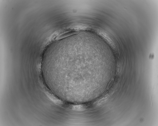 X0000094070309200711021516