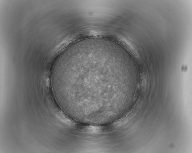 X0000094070313200711021516