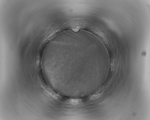 X0000094070314200711021516