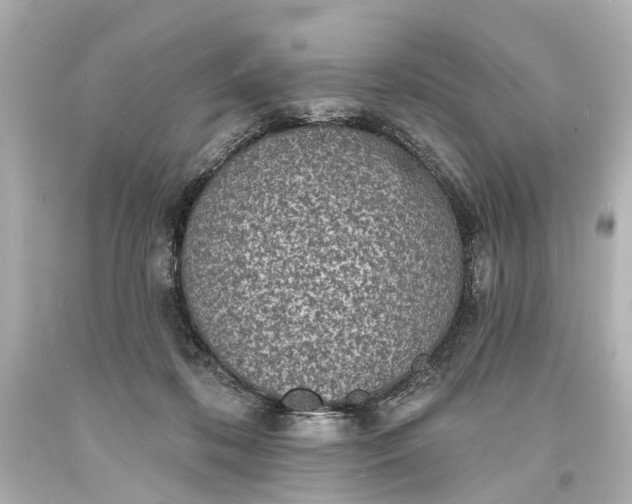 X0000094070316200711021516