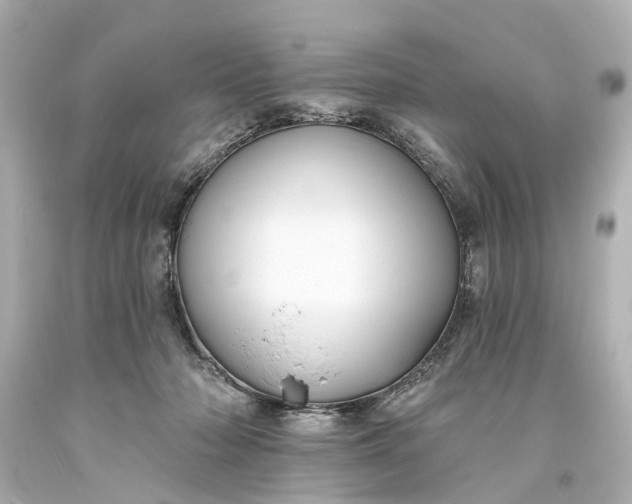 X0000094070318200711021516
