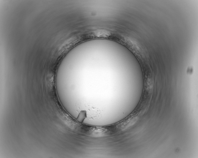 X0000094070321200711021516