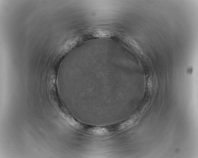 X0000094070322200711021516