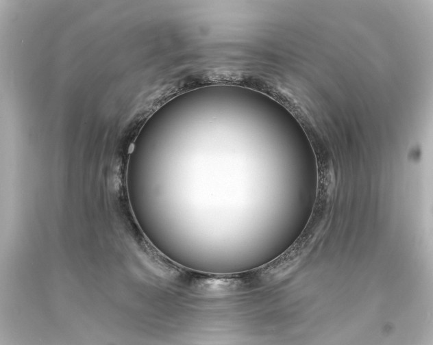 X0000094070323200711021516
