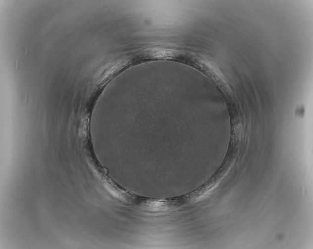 X0000094070325200711021516