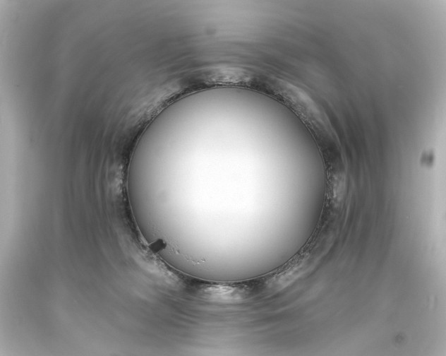 X0000094070326200711021516