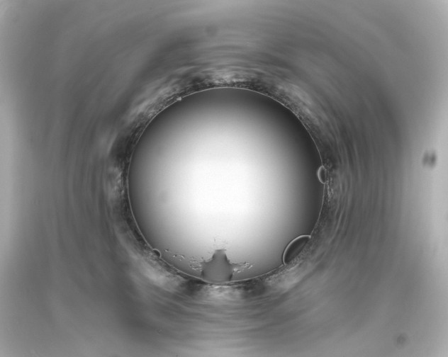 X0000094070327200711021516
