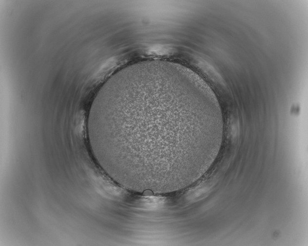X0000094070328200711021516