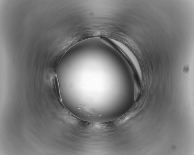 X0000094070329200711021516