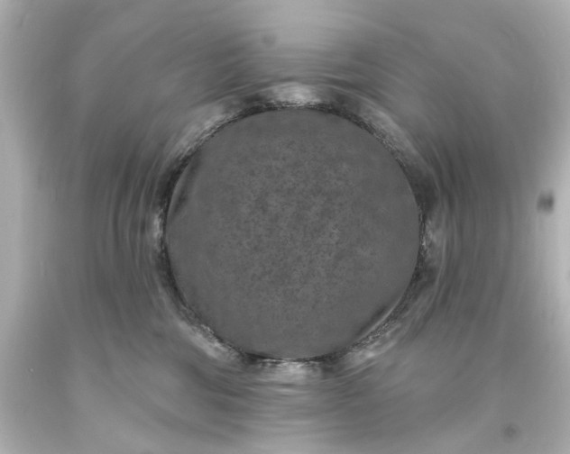X0000094070330200711021516