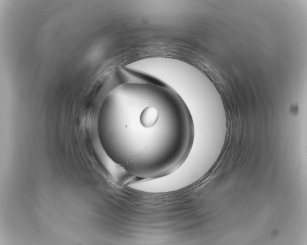 X0000094070333200711021516