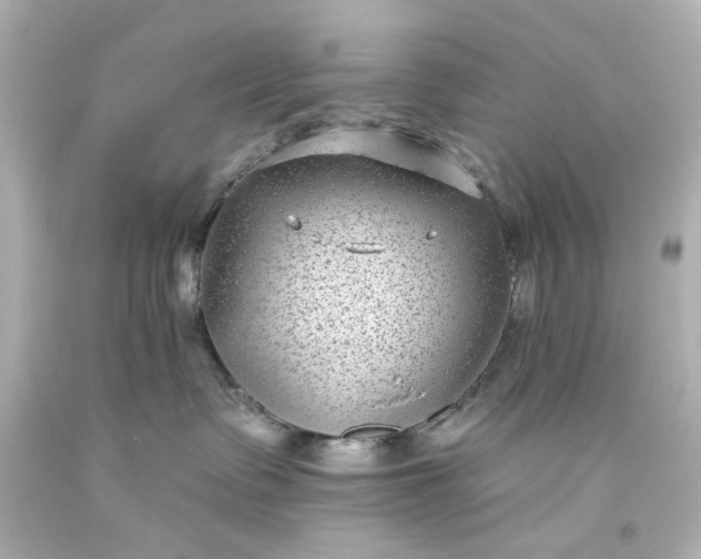 X0000094070335200711021516