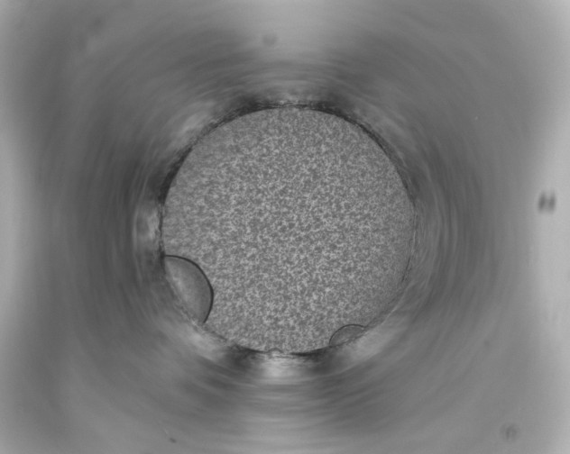 X0000094070336200711021516
