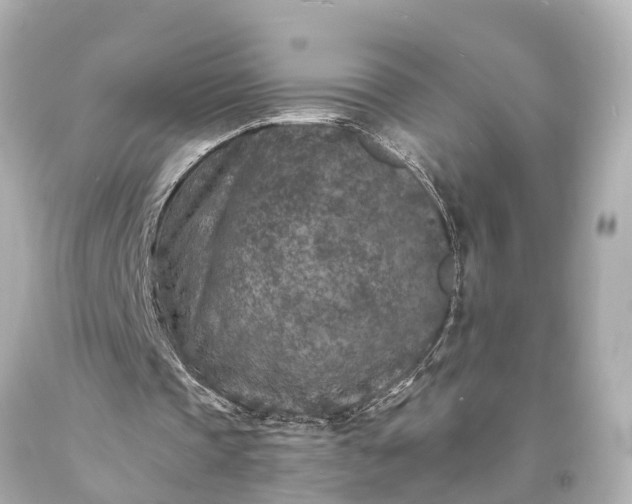 X0000094070337200711021515