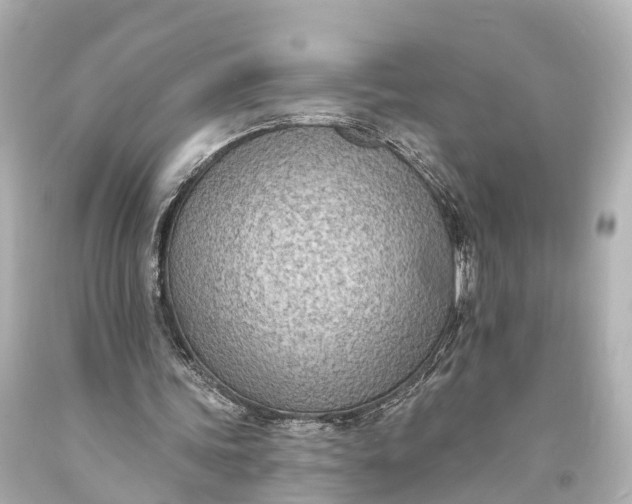 X0000094070339200711021515