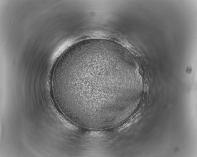 X0000094070341200711021515