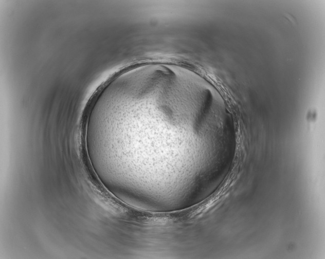X0000094070342200711021515