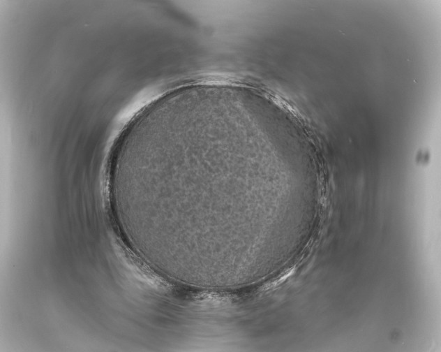 X0000094070343200711021515