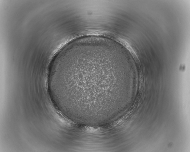 X0000094070346200711021515