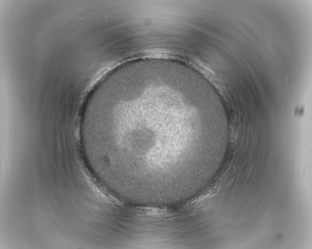 X0000094070347200711021515
