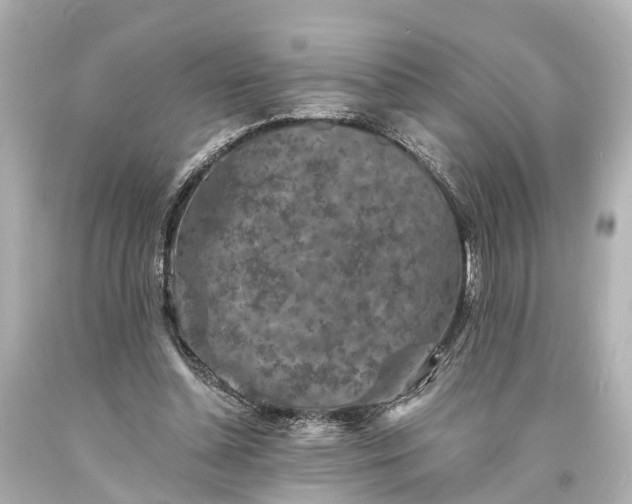 X0000094070348200711021515
