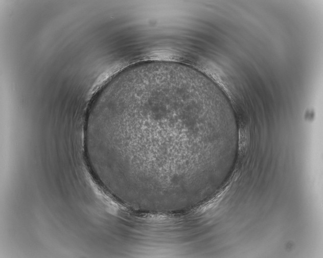 X0000094070349200711021515