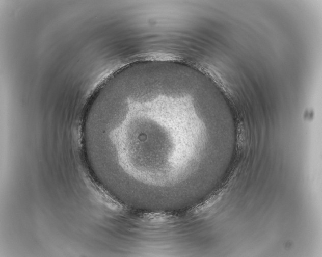 X0000094070351200711021515