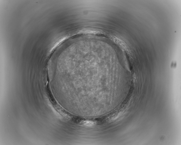 X0000094070352200711021515