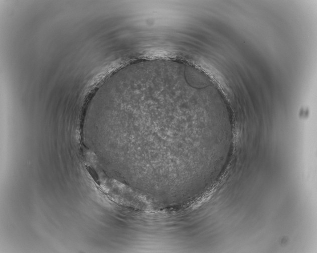 X0000094070353200711021515