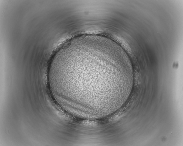 X0000094070354200711021515