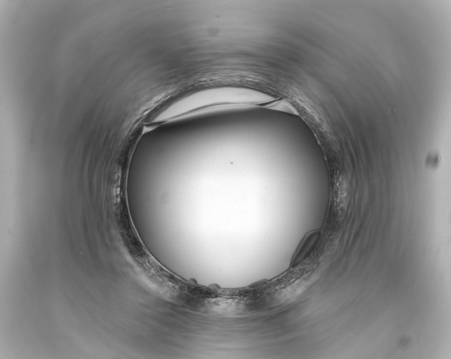 X0000094070356200711021515