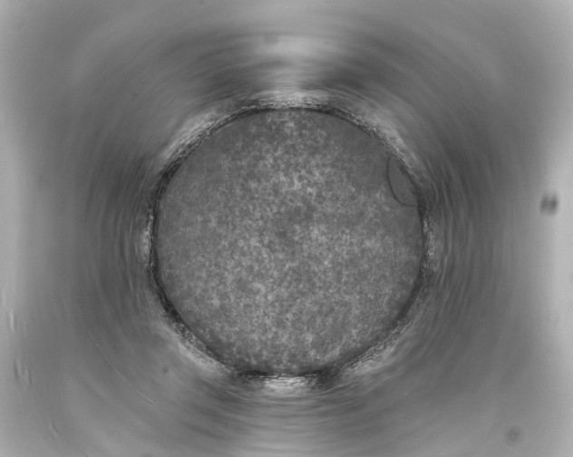 X0000094070357200711021515