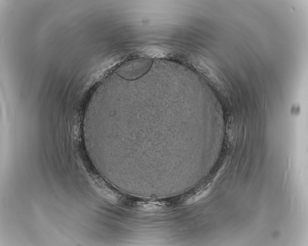 X0000094070359200711021515