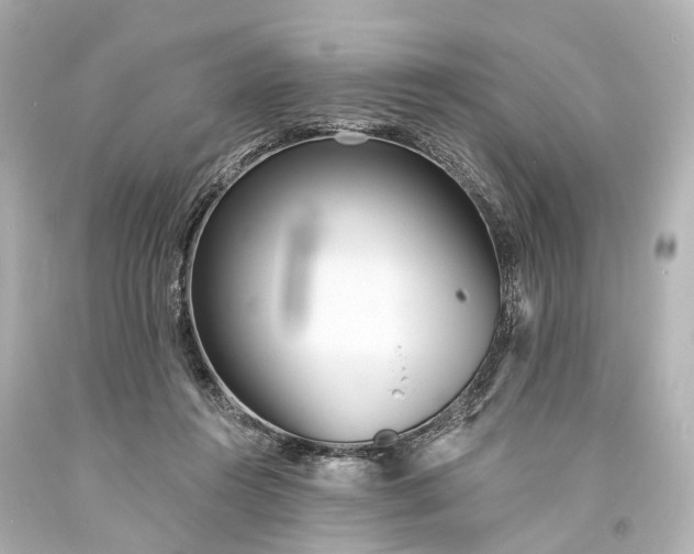 X0000094070360200711021515