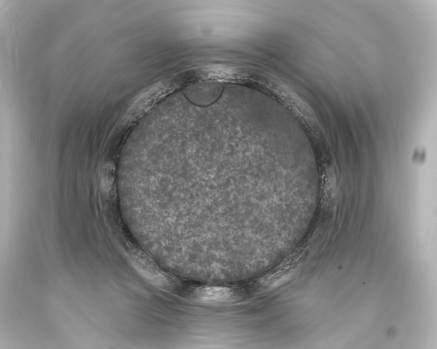X0000094070361200711021515