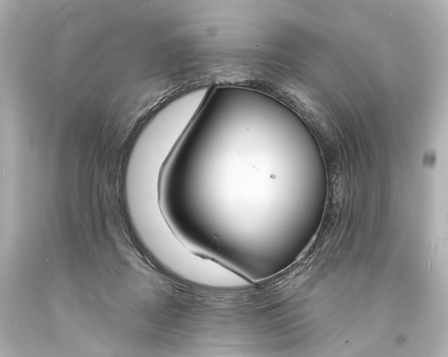 X0000094070362200711021515