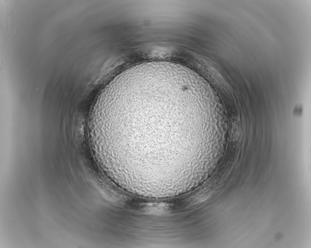 X0000094070363200711021515